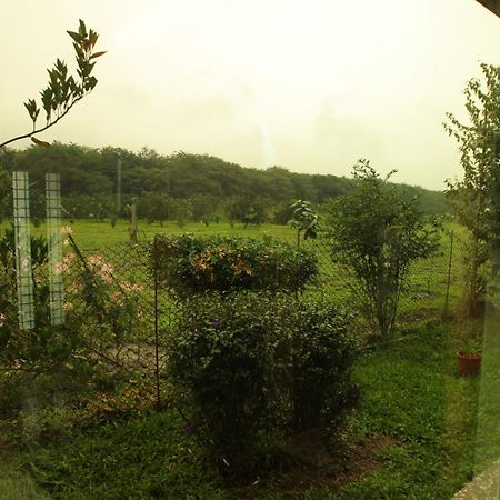 Countryside B&B Руисуи Стая снимка